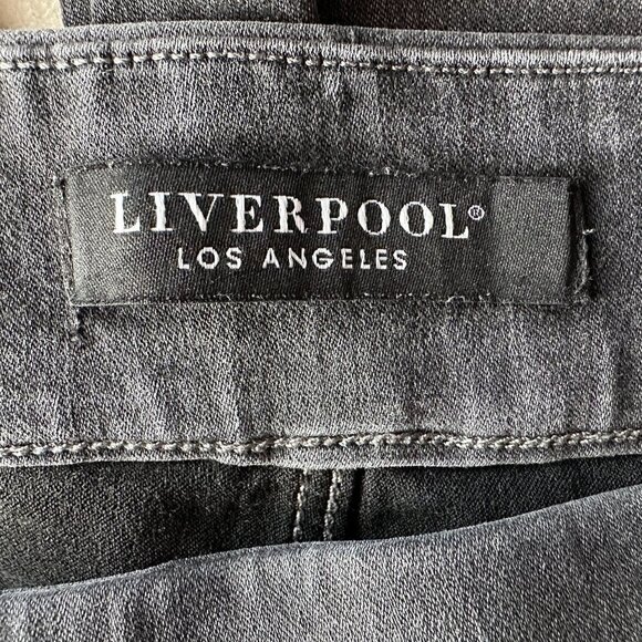 Liverpool Los Angeles The Skinny Distressed Gray Pull On Jeans Jeggings 8P - Picture 5 of 10